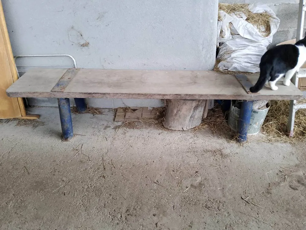 Vendo banco de matar cerdos