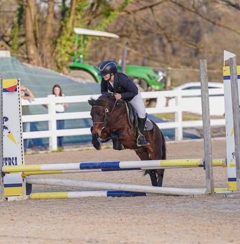 Poni A de Salto - imagen 1