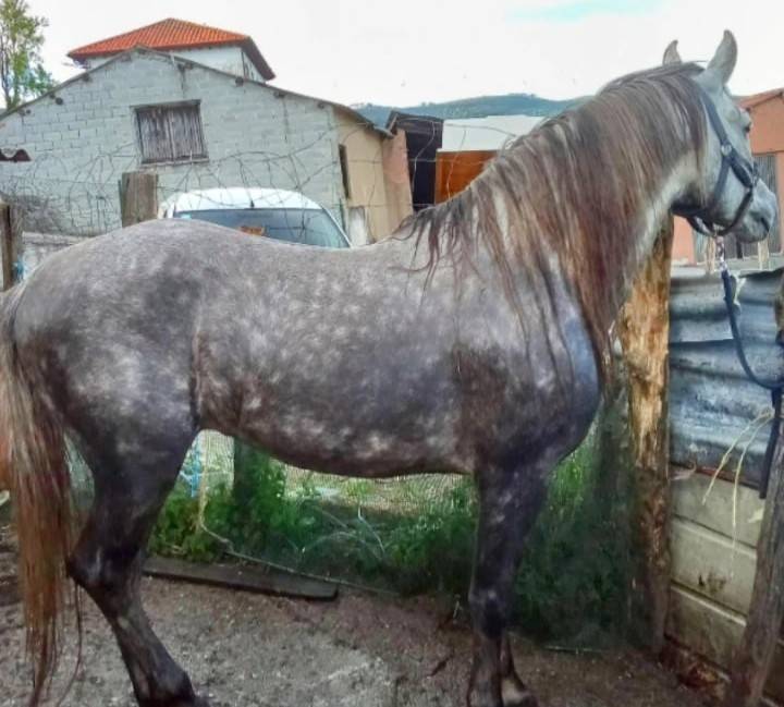 Se ofrece para cubriciones 