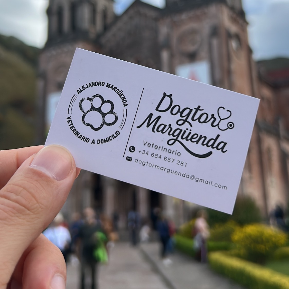 Veterinario a domicilio 