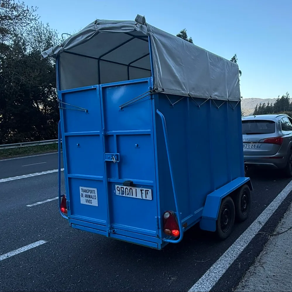 Remolque ganadero o de caballos