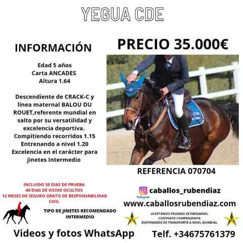 Yegua CDE - Descendiente de CRACK-C - Salto - imagen 1
