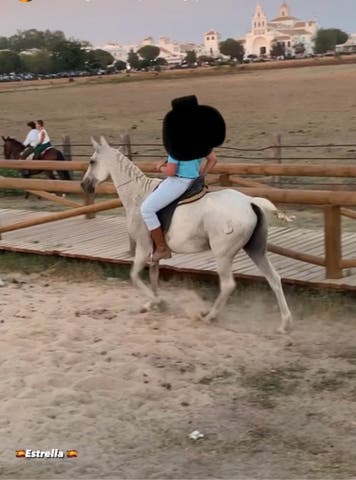 Yegua Mansa para Disfrutar - imagen 1