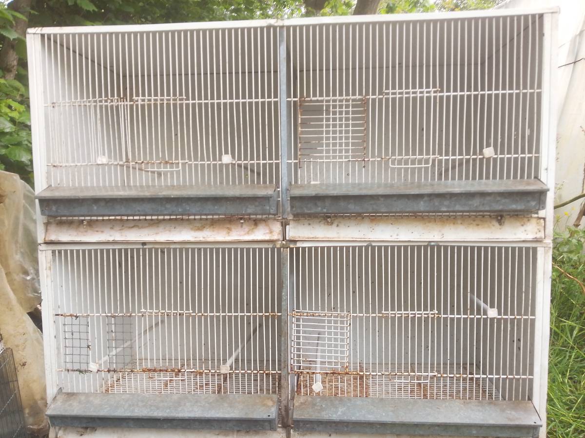 Voladeras de 1.20cm x 50cm