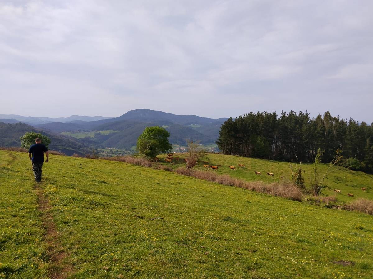 Se buscan fincas para segar