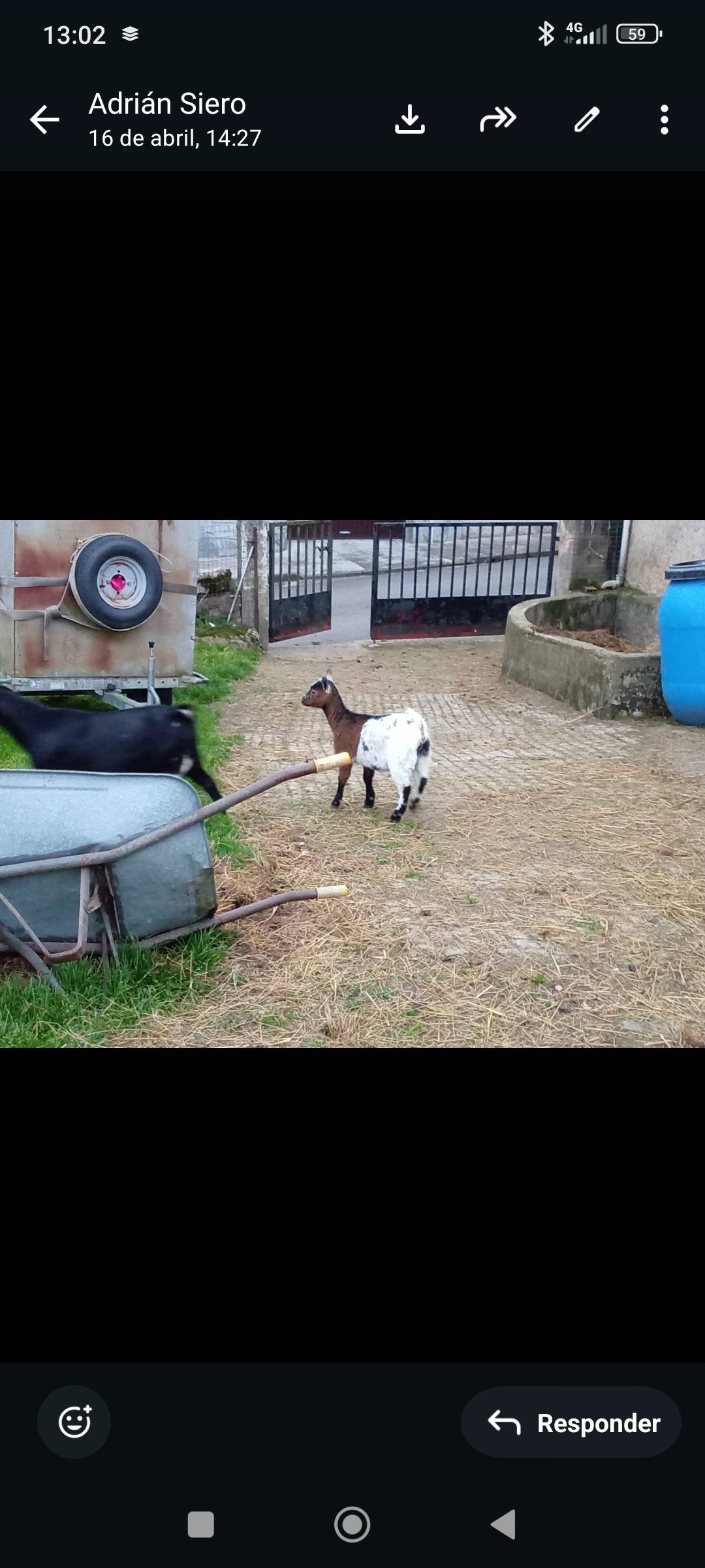 Se vende  - imagen 1