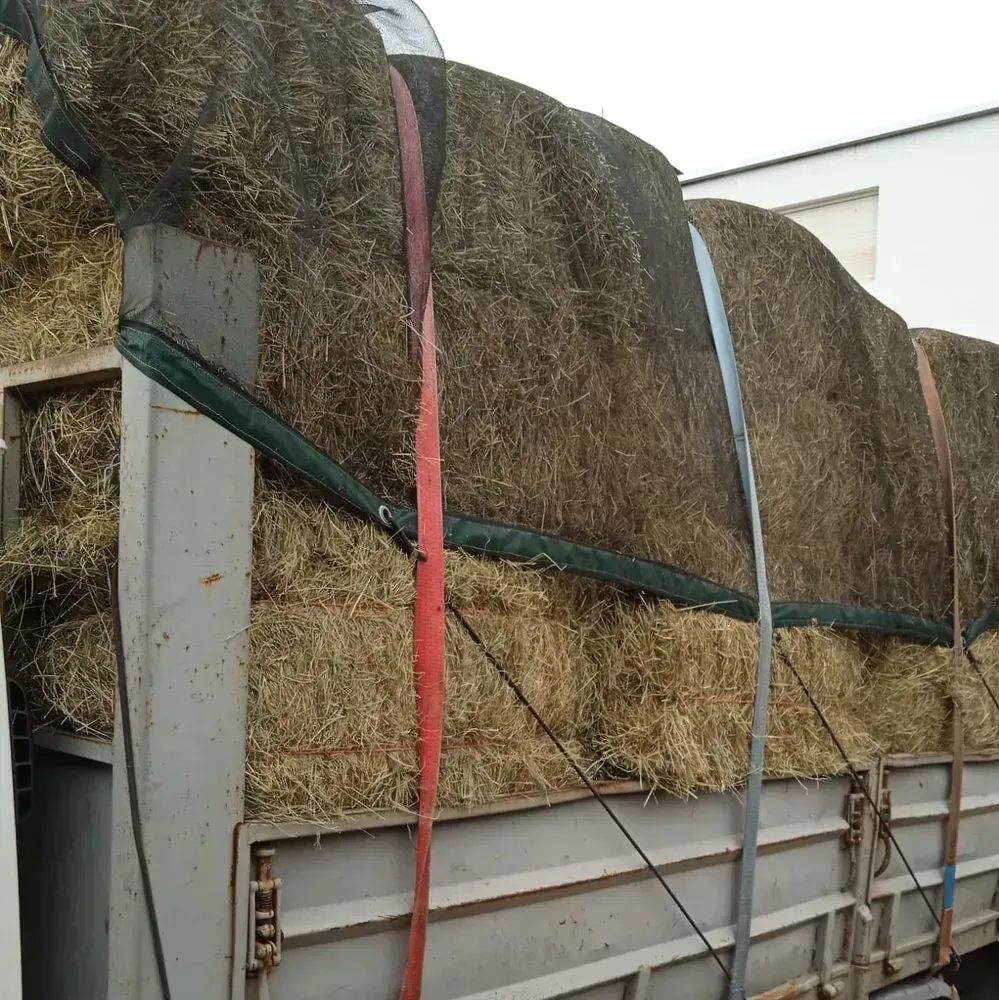 Pacas de hierba 2025