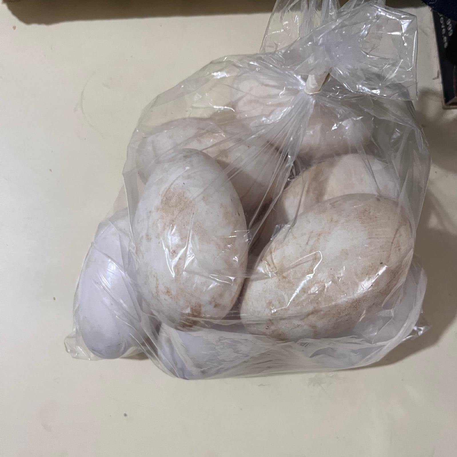 Huevos de oca toulouse