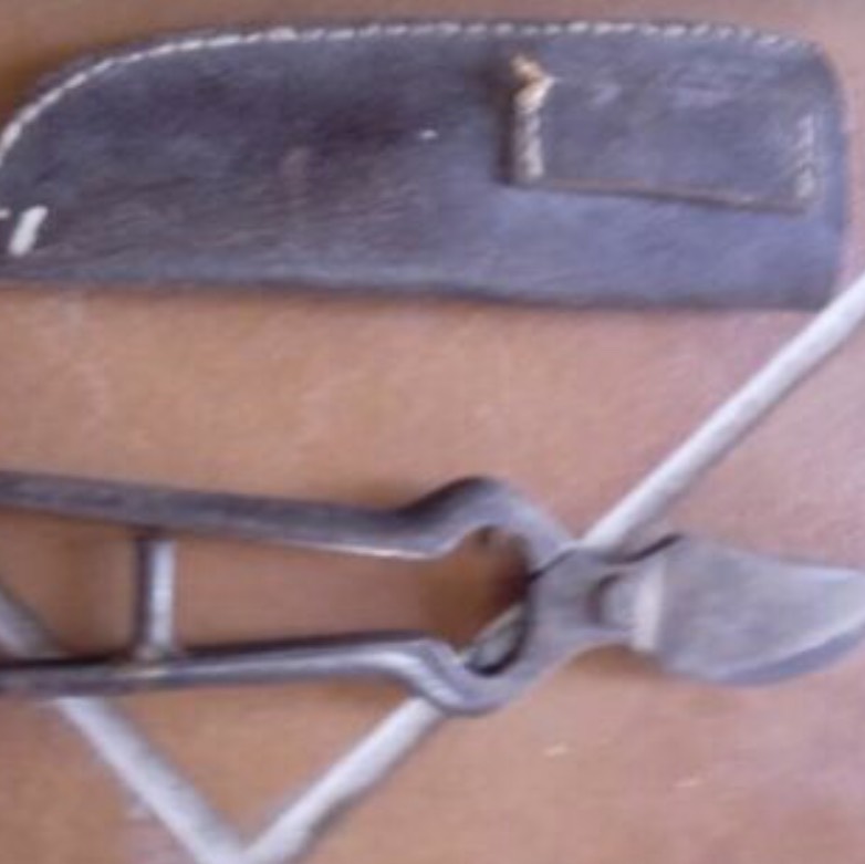 Tijeras de podar con funda