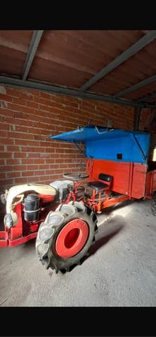 PASQUALI - 18 - imagen 1